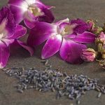 Foodbuzz 24, 24, 24: Feasting on Flowers